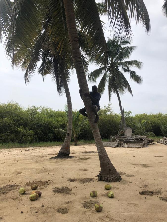 Natura Luxury Lodge Ouidah Ngoại thất bức ảnh