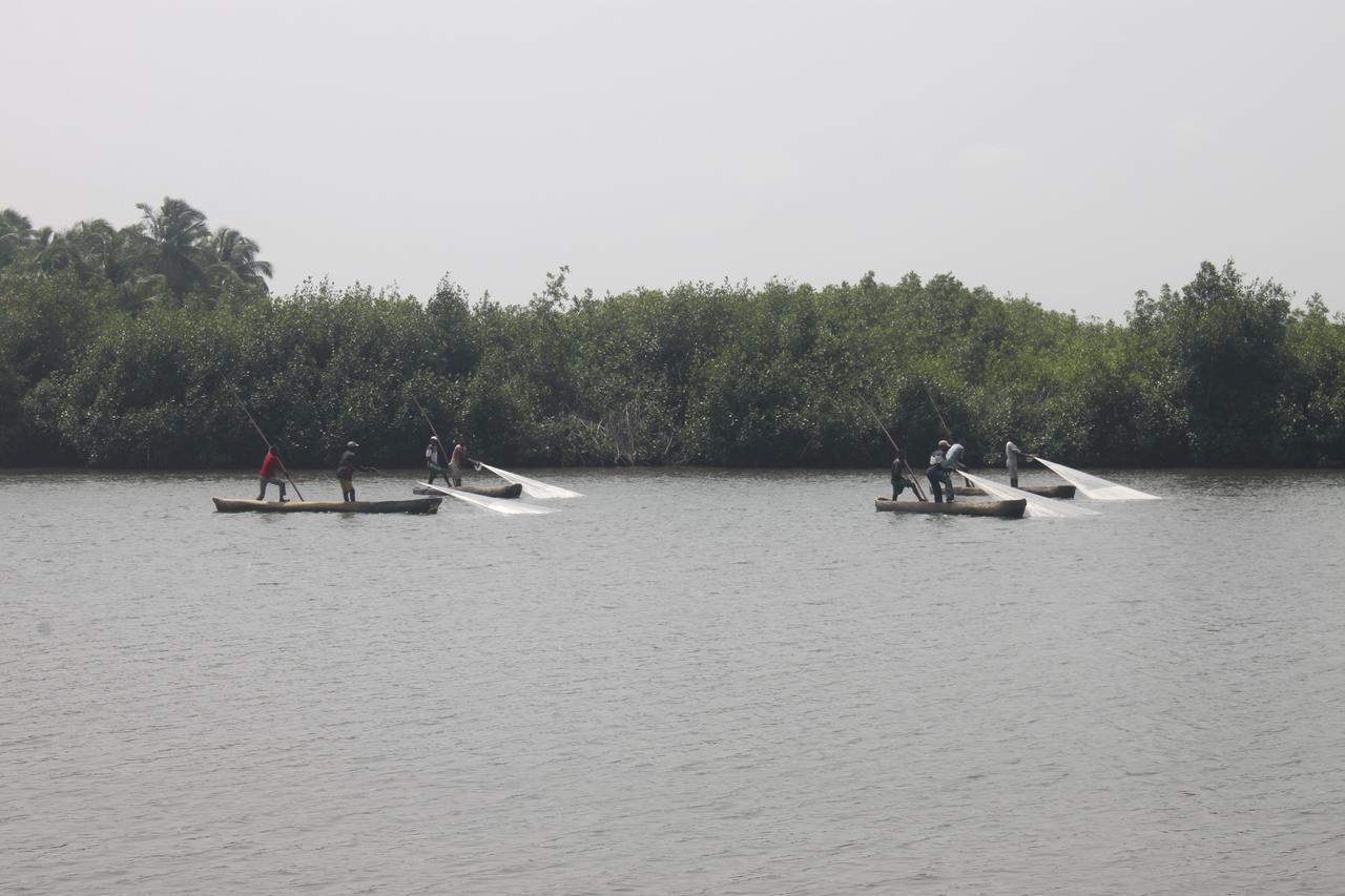Natura Luxury Lodge Ouidah Ngoại thất bức ảnh